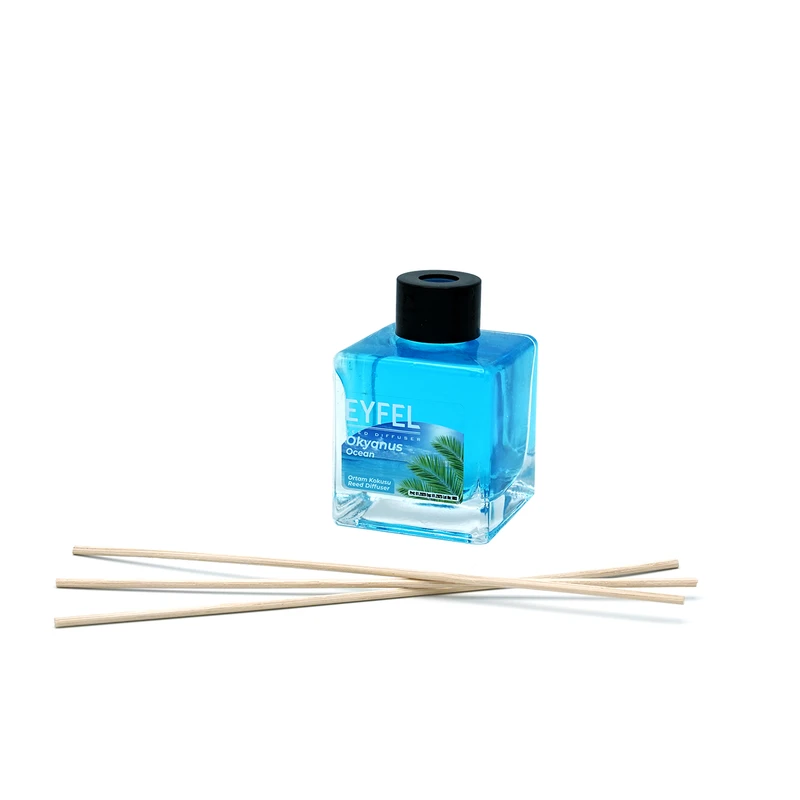 تصویر  بوگیر و خوشبو کننده هوا ایفل مدل OKyanus Ocean حجم 120 میلی لیتر